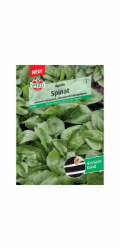 Hybridní semenná páska Sperli Spinach "Apollo" F1