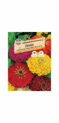 Sperli Zinnia "California Giant Mix" Zinnia