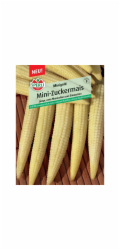 Sperli mini kukuřice "Minigold" (Zea mays)