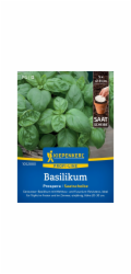 Kiepenkerl Hybrid Basil Prospera F1 semenný kotouč