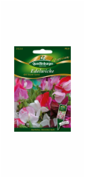 Quedlinburgský hrachor vonný "Old Sweet Scent" sypká semínka