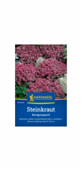 Kiepenkerl Alyssum "Královský koberec"