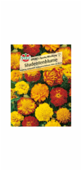 Sperli Student Flower "Sperli s Sparky Mix" vícebarevná