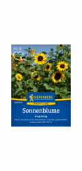 Kiepenkerl slunečnice "King Kong" Helianthus annuus