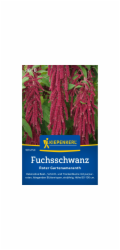 Laskavec ocasatý (Amaranthus caudatus)