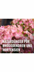 Compo Bio Dlouhodobé hnojivo pro rododendrony s ovčí vlnou 2 kg