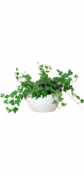 Miska Artevasi San Remo, průměr 23 cm, bílá