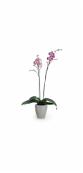 Sazeč Scheurich 620 O 13 cm Taupe