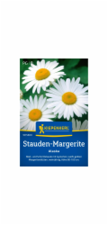 Kiepenkerl Trvalá sedmikráska "Alaska" Leucanthemum