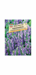 Sperli catnip "Blue Tomcat" Nepeta x faassenii