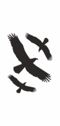 Samolepka "Konturní pták" 30 cm x 20 cm PVC fólie