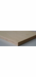 Multiplexní panel bříza 120 cm x 60 cm x 0,6 cm FSC®