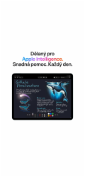 Apple iPad Air 13palcový Wi-Fi 512GB vesmírně šedý