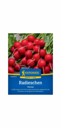 Kiepenkerl ředkvičky "Vienna" F1 hybrid (Raphanus sativus var. sativus)