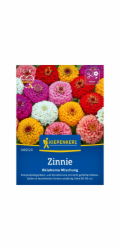 Kiepenkerl Zinnias "Oklahoma Formula Mix" vícebarevné