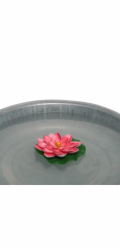 Sonstige Dekorativní květ leknínu, plovoucí, EVA, průměr 18 cm, růžový