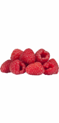 GROW by OBI Organic Malina "TwoTimer® -Sugana®" Červená Výška cca 20-30 cm Květináč cca 2 l