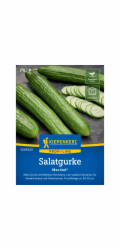 Kiepenkerl Profi-Line okurka “Maxime” F1 hybrid