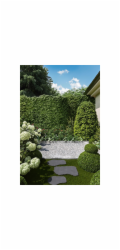 Eurostone Přírodní kámen, nášlapný kámen Blue-Stone 50 cm x 35 cm x 2,5
