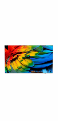 Philips/65HFL6214U/12/65"/4K UHD/Gray