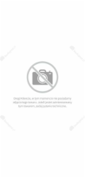 GoSystem Hořák Micro Precision pro G2000H 2 ks (G24090)