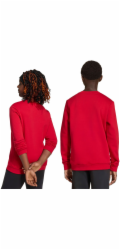 Adidas adidas ENTRADA 26 Sweat Top Junior JZ6556