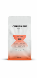 Coffee Plant Kávová rostlina Kávová zrna Kávová rostlina Nízký květ 800g