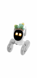 Pletený kostým pro Loona Premium Cactus
