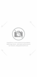 Jonnesway Opravná sada (R5104RK) pro ráčnu 1/2" R5104