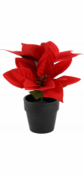 Home Styling Collection Kolekce pro domácí styling Umělá vánoční hvězda v květináči, výška 18 cm