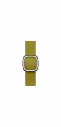 Watch Acc/42/Chartreuse Modern Buckle - Small
