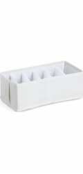 Zeller Organizér na spodní prádlo NOMAD s přihrádkami, 30 x 15 x 11 cm