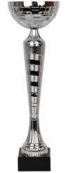 Tryumf Triumf v poháru W2079