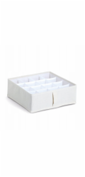 Zeller Organizér na spodní prádlo NOMAD s 16 přihrádkami, 30 x 30 x 11 cm