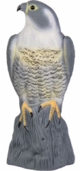 Bradas plašič ptáků 41cm Falcon 8069