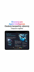 iPad Air 13" Wi-Fi 256GB Kozmický sivý (2025)