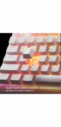 SteelSeries Apex 3 TKL US