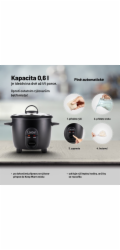 Lauben Rice Cooker 600BC