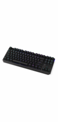 Endorfy herní klávesnice Thock TKL Wireless Black/ bezdrátová / USB / black switch / mechanická / US layout / černá RGB
