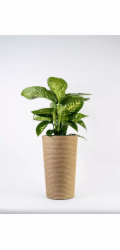 Adoni Jutový květináč s vložkou, průměr 28 cm, výška 47 cm (adoni47)
