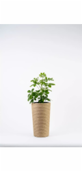 Adoni Jutový květináč s vložkou, průměr 22 cm, výška 36 cm (adoni36)