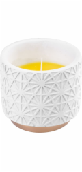 Svíčka Citronella, bílá, repelentní, v dekorativním květináči, 200 g, 110x100 mm