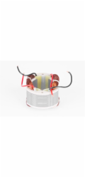 Stator DS-220 diel 8