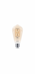 Led žárovka WIFI ST64 E27 7W 806LM TW FL