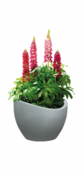 Hrnec Scheurich Stony Grey, plast, O 50 cm, šedý