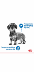 Royal Canin CCN MINI LIGHT WEIGHT CARE - suché krmivo pro dospělé psy - 3kg