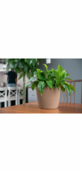 Hrnec Form Plast Mika Petit Eco, H 14,8 cm, hnědý
