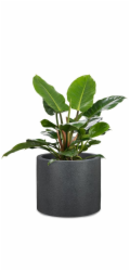 Hrnec Scheurich Schwarz-Granit, plast, O 48 cm,