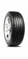 ZIMNÍ PODRÁŽKA 225/45R17 MALATESTA T M79T 94V