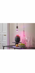 OSRAM LED lampa na rostliny 1300K E27 7,5W 140lm